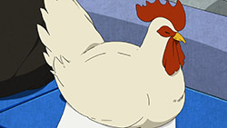 ...and about fried chicken.